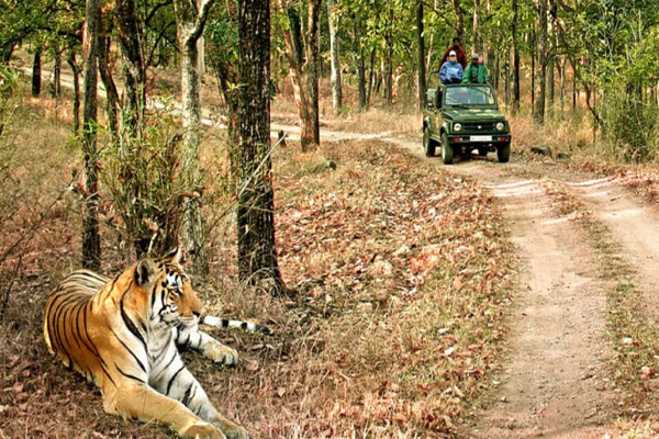 Delhi to Jim Corbett Tempo Traveller